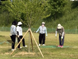 구성 요소 60 – 1